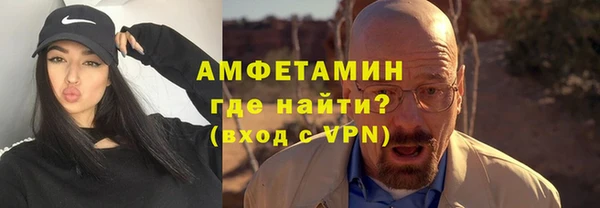 шишки Гусев