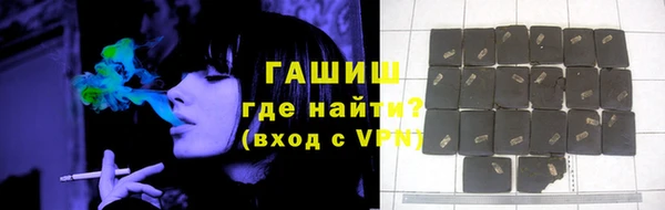 шишки Гусев