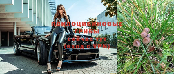 марки nbome Дмитриев