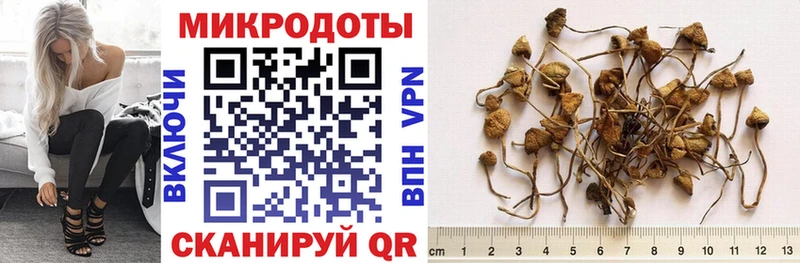 Псилоцибиновые грибы MAGIC MUSHROOMS  Пошехонье 